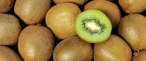 تصویر 3 از قیمت و خرید کیوی گوشتی + فروش ارزان